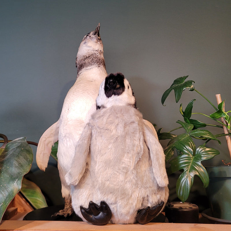 Lifelike Baby Penguin Plush Toy