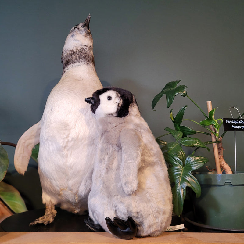 Lifelike Baby Penguin Plush Toy