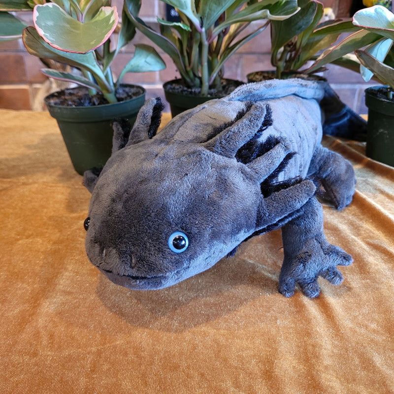 Lifelike Black Axolotl Plush Toy