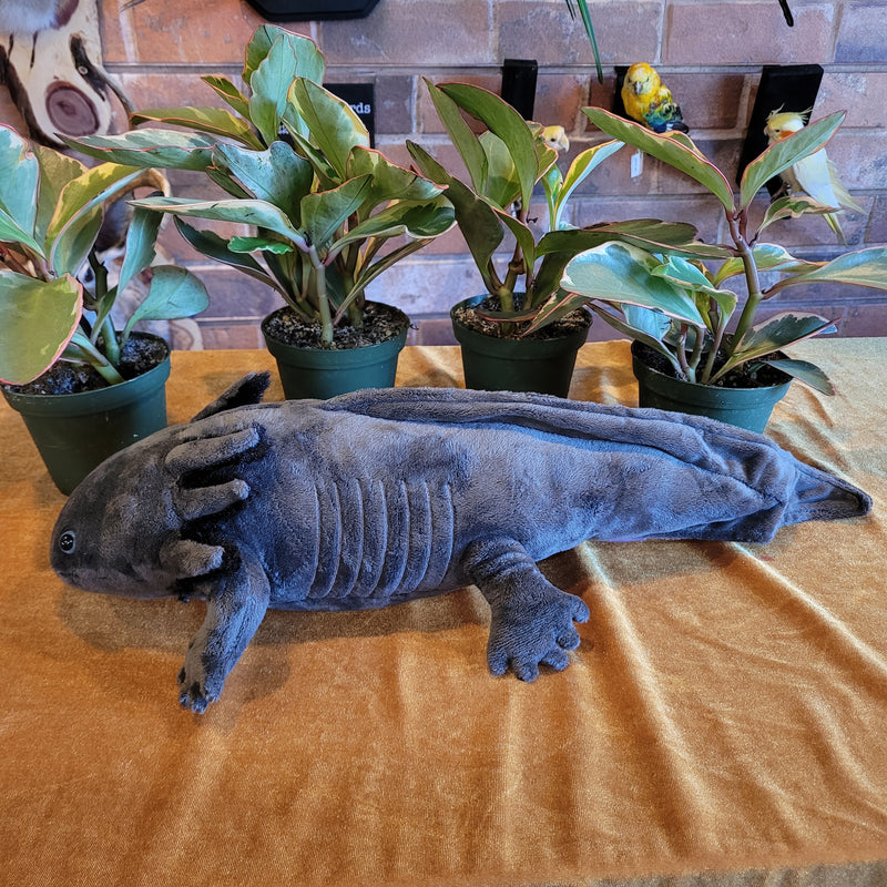 Lifelike Black Axolotl Plush Toy