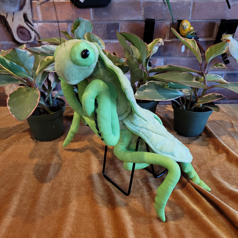 Lifelike Shield Mantis Plush Toy