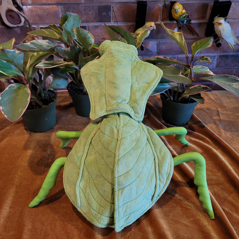 Lifelike Shield Mantis Plush Toy