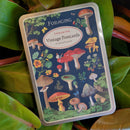 Foraging Vintage Postcards