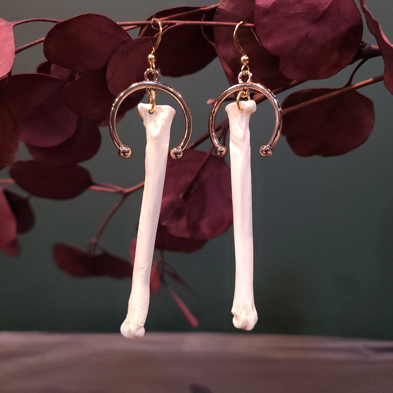 Coyote Paw Bone Barbell Earrings