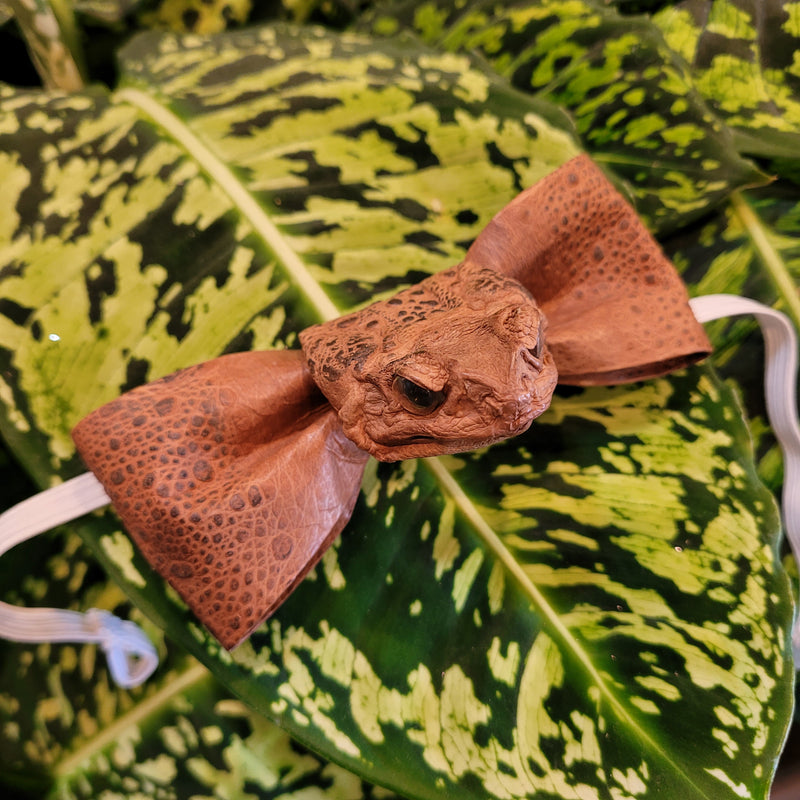 Cane Toad Taxidermy Bow Tie