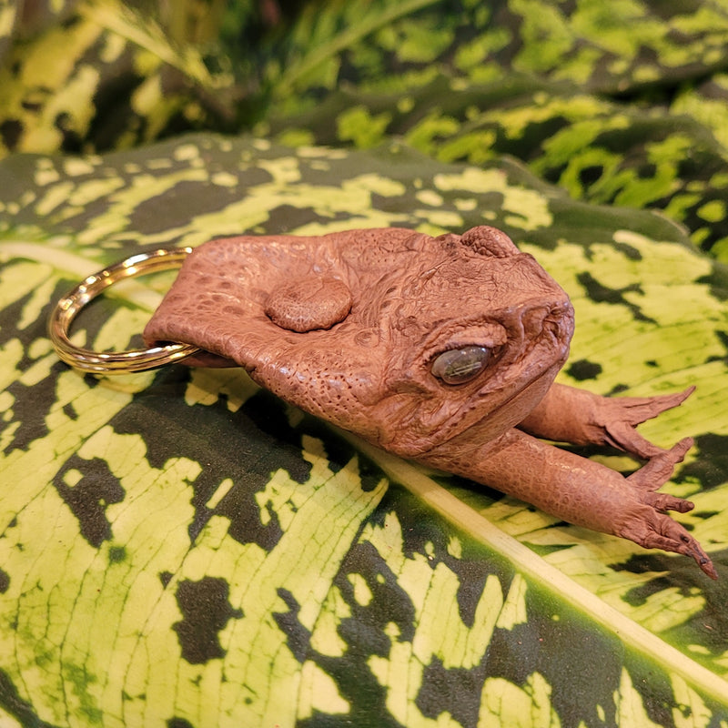 Cane Toad Keychain