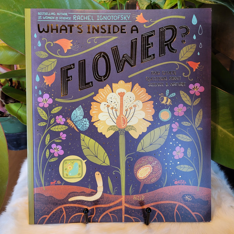 What's Inside A Flower?: And Other Questions About Science & Nature by Rachel Ignotofsky