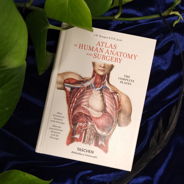ATLAS OF HUMAN ANATOMY AND SURGERY 洋書　解剖 Atlas of Human Anatomy and Surgery by J.M. Bourgery & N.H. Jacob