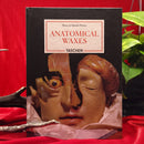 Anatomical Waxes
