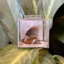 Mini Ceramic Cave Bat Figurine