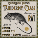 08/09/26 Taxidermy Rat Class