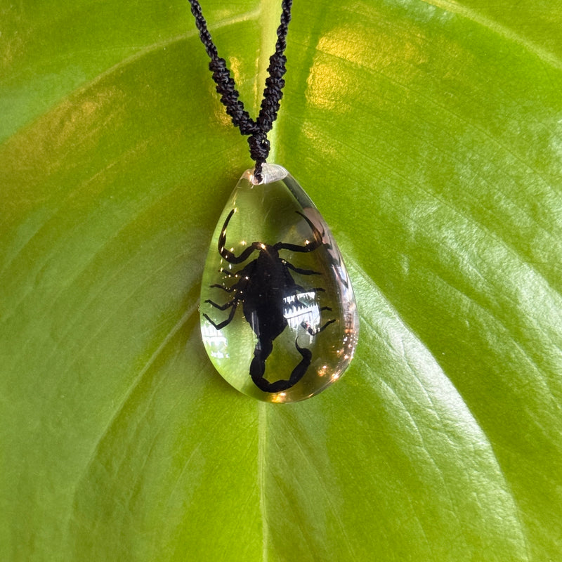Black Scorpion Tear Drop Necklace