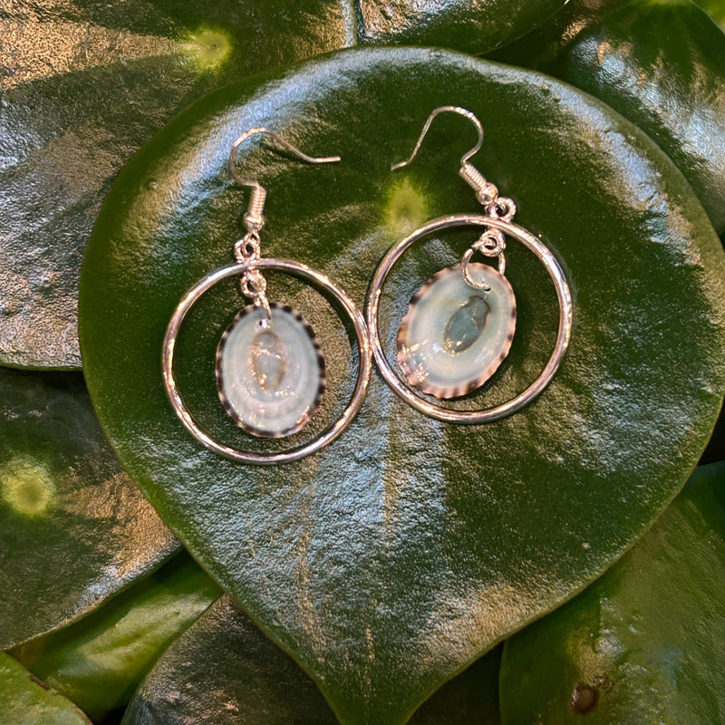 Green Limpet Shell Hoop Earrings