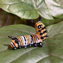 Mini Ceramic Caterpillar Figurine