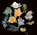 Pacific Northwest Native Plants Mini Paper Garland