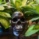 Ceramic Skull