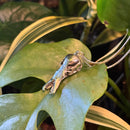 Platypus Skull Necklace