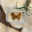 Medium Fritillary Butterfly Paperweight