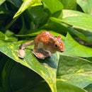 Mini Ceramic Kangaroo Rat Figurine
