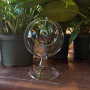 Small Glass Sole Terrarium