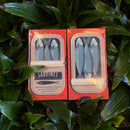 Sardines Matchbox