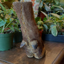 Taxidermy Cape Buffalo Foot