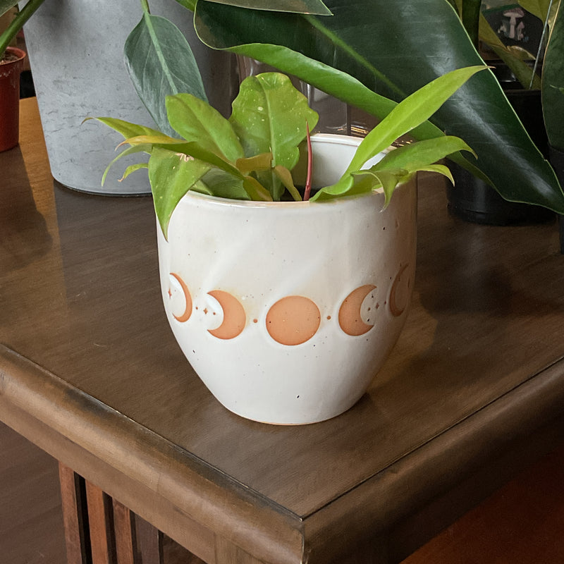Moon Phase Planter