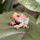 Mini Ceramic Leopard Frog Figurine