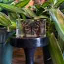 Brush-Footed Butterfly Paperweight