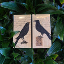 Crows Matchbox
