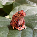 Mini Ceramic American Toad Figurine