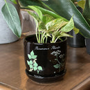 Poisonous Plants Planter