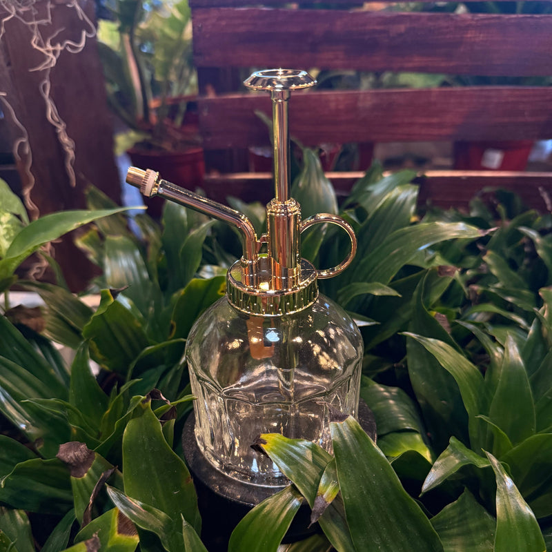 Glass Plant Mister