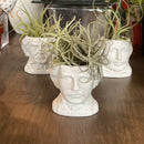 Edgar Allan Poe Planter