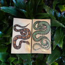 Rare Snake Matchbox