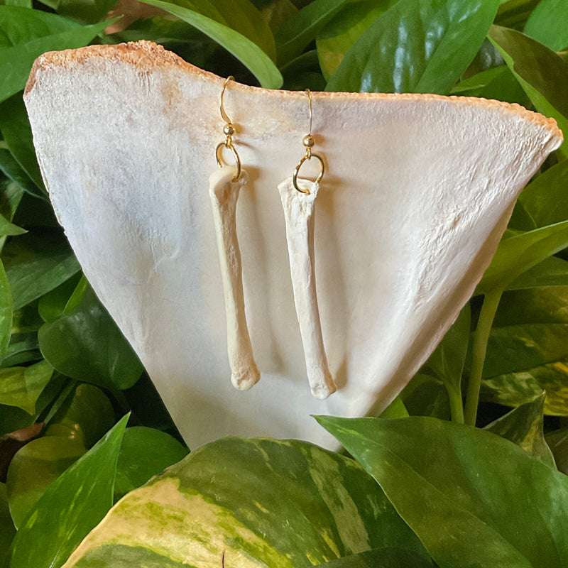 Coyote Paw Bone Earrings