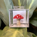 Mini Ceramic ToadStool Figurine