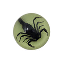 Glow in the Dark Scorpion Dome