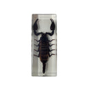 Large Black Scorpion Paperweight