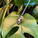 Sea Otter Skull Necklace