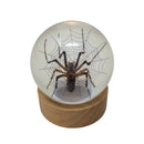Spider Globe Paperweight with Stand