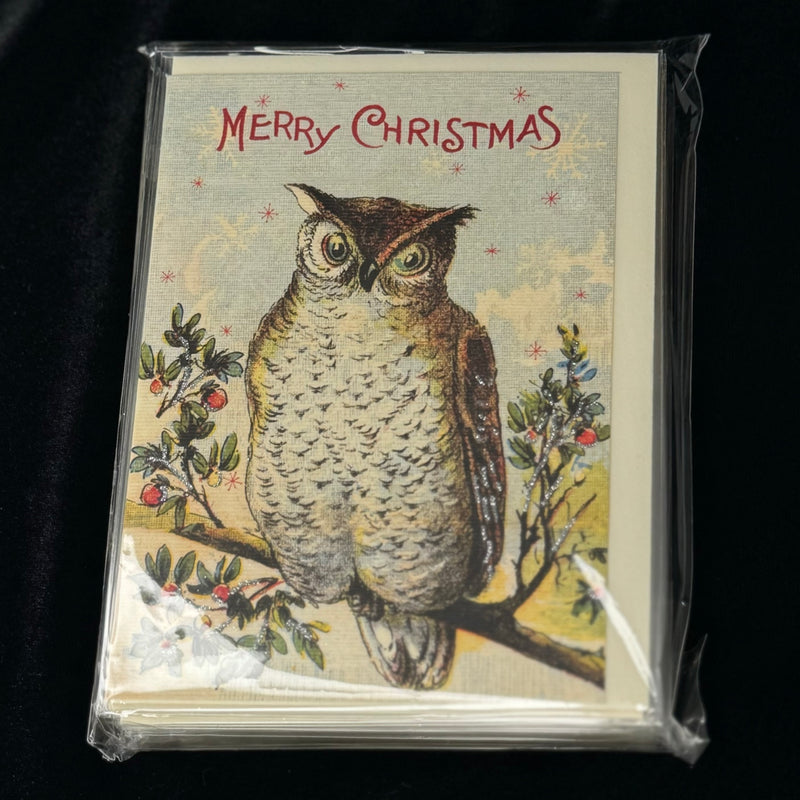 Christmas Owl Greeting Card