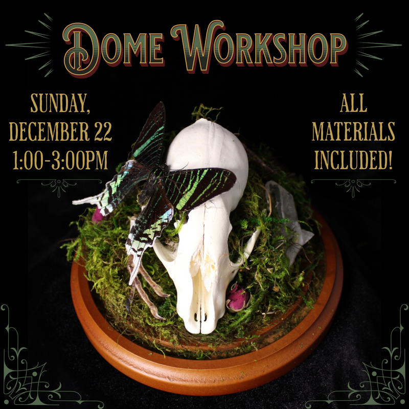 12/22/24 Dome Workshop