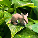 Mini Ceramic Aardvark Figurine