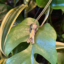Platypus Skull Necklace