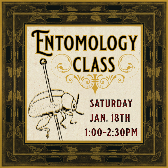 01/18/25 Entomology Class