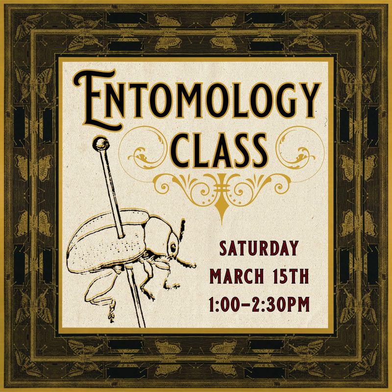 03/15/25 Entomology Class