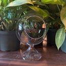 Large Glass Sole Terrarium
