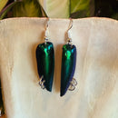 Pierced Jewel Beetle Earrings