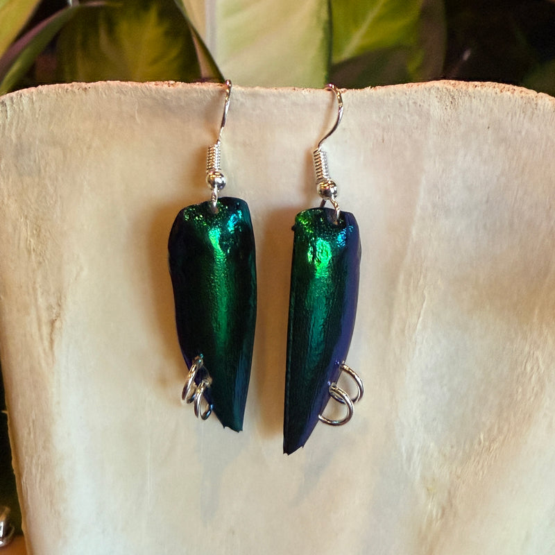 Pierced Jewel Beetle Earrings